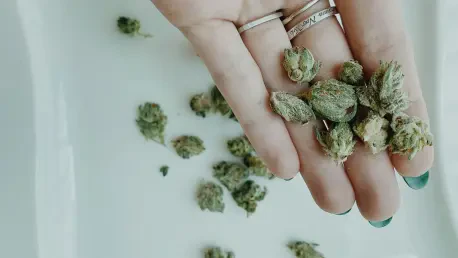 Will Nebraska’s Medical Cannabis Laws Align with Voter Intent?