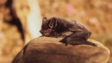 Why Did a Bat Incident Cost a Woman $21K in Medical Bills?