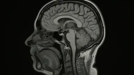 Can Muscle and Visceral Fat Predict Brain Age on MRI?