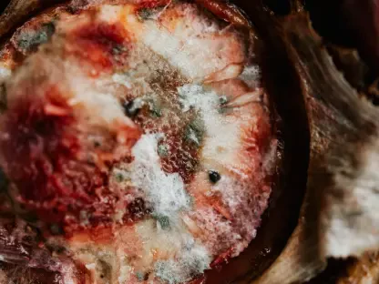 MoldCo Secures $8M to Combat Mold-Related Health Issues