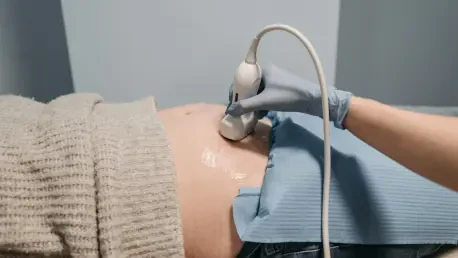 Better Data Collection Is Key to Improving Pregnancy Care in Prisons